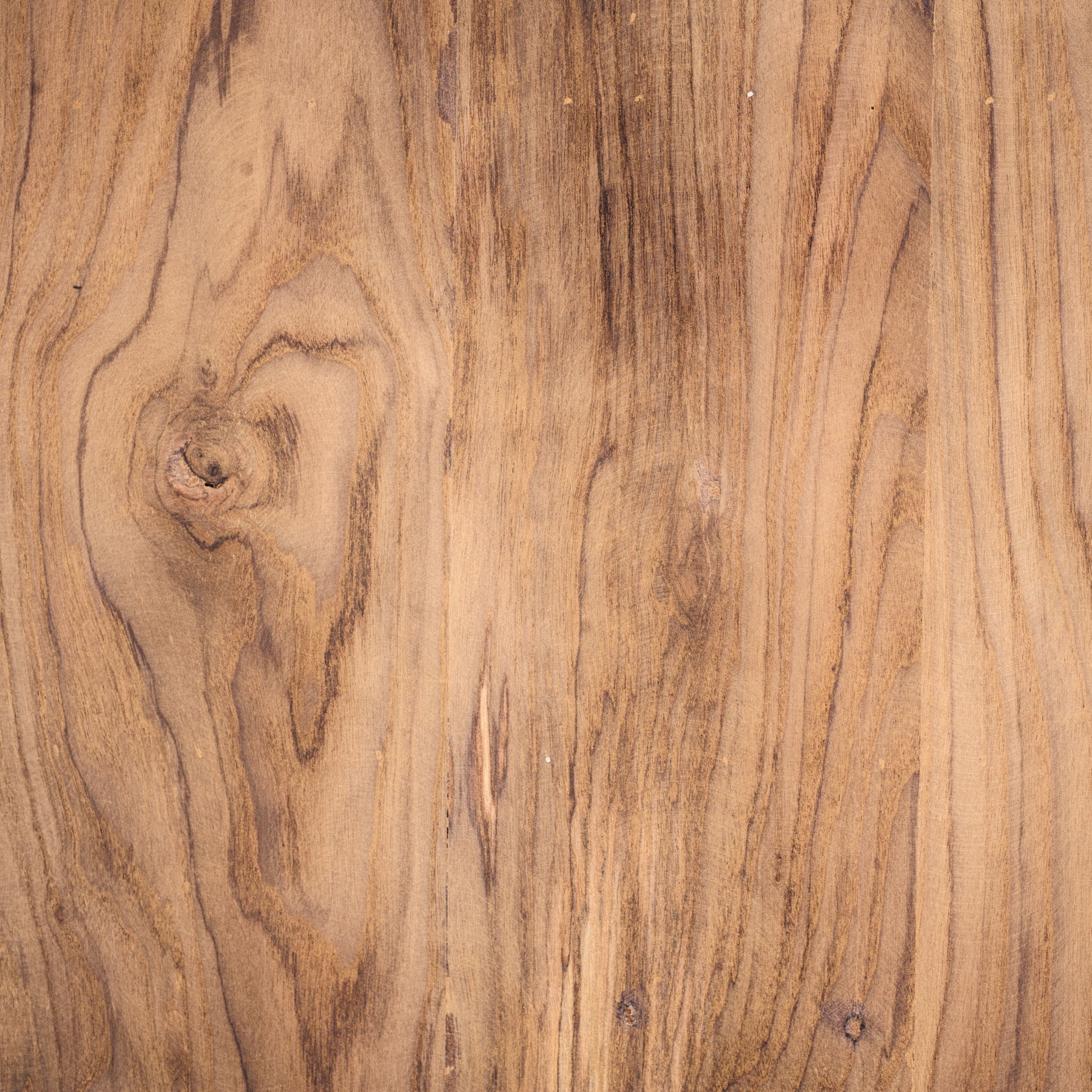 Close view of timber grain and a knot, showing the variation in density a coating has to accommodate.